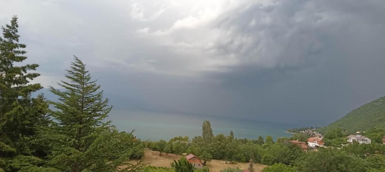 Villa Karolina Охрид Экстерьер фото